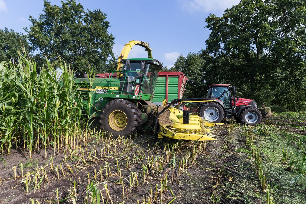 Bild 225 - Maisernte